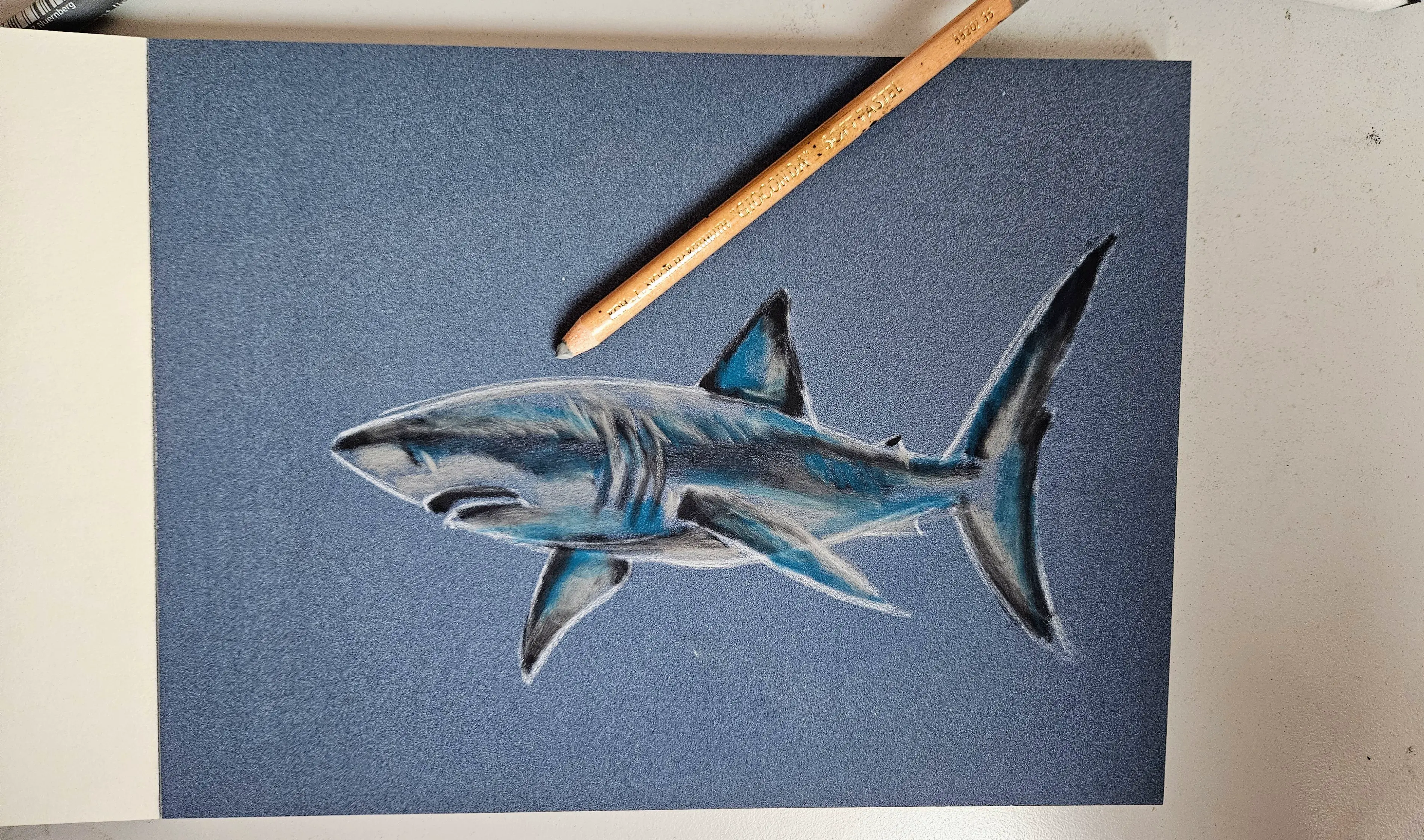 dessiner les parties éclairées d’un requin aux pastels