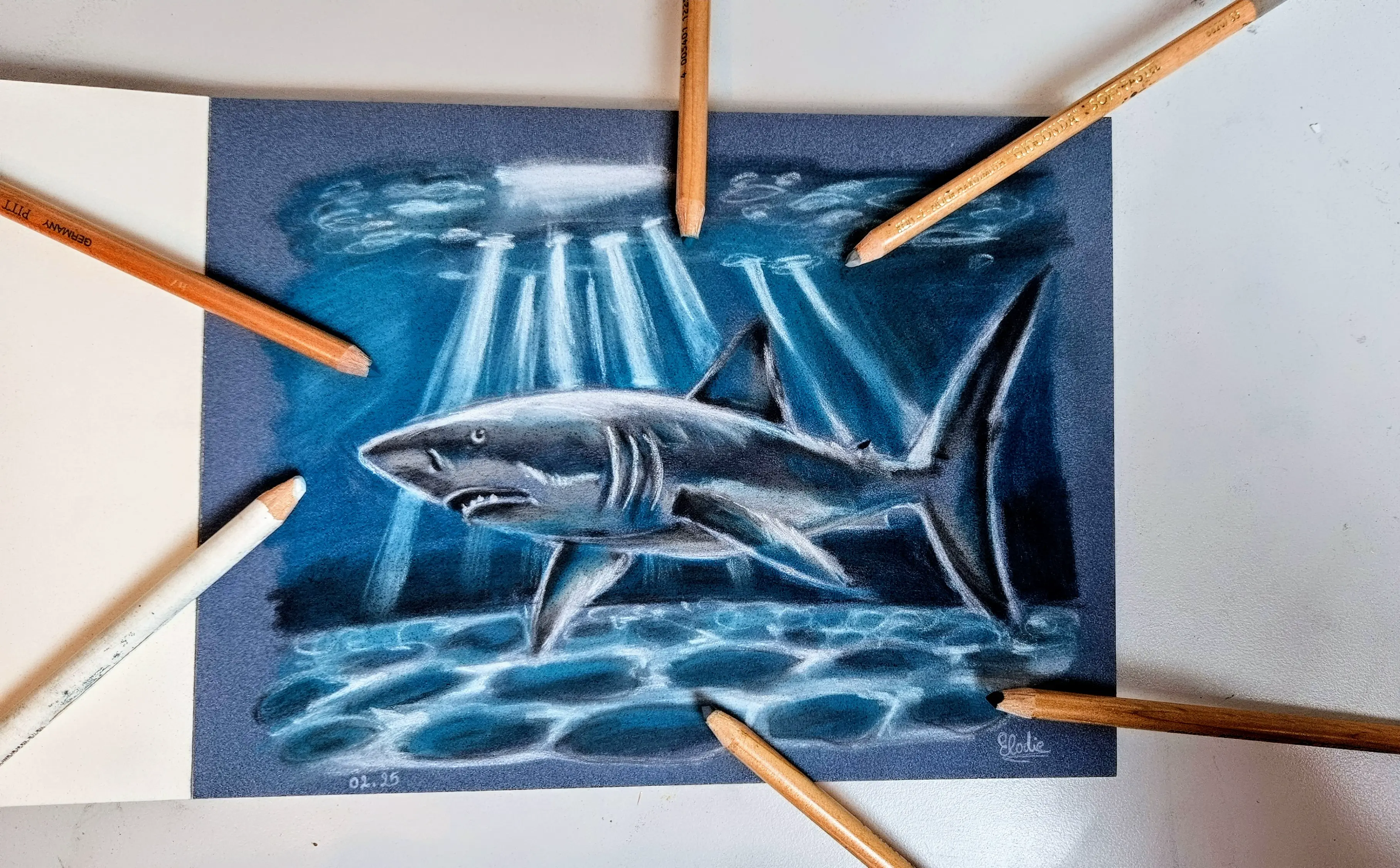 dessin aux pastels secs