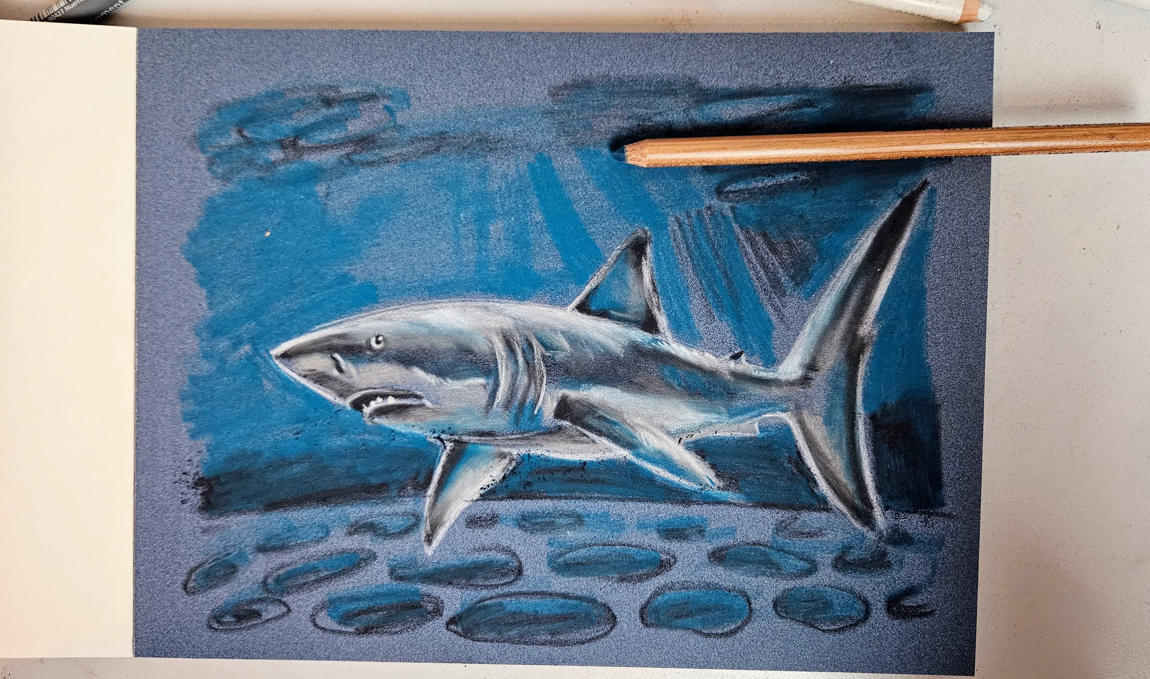 ajouter les reflets du ciel sur l’eau en arrière-plan d’un dessin de requin aux pastels