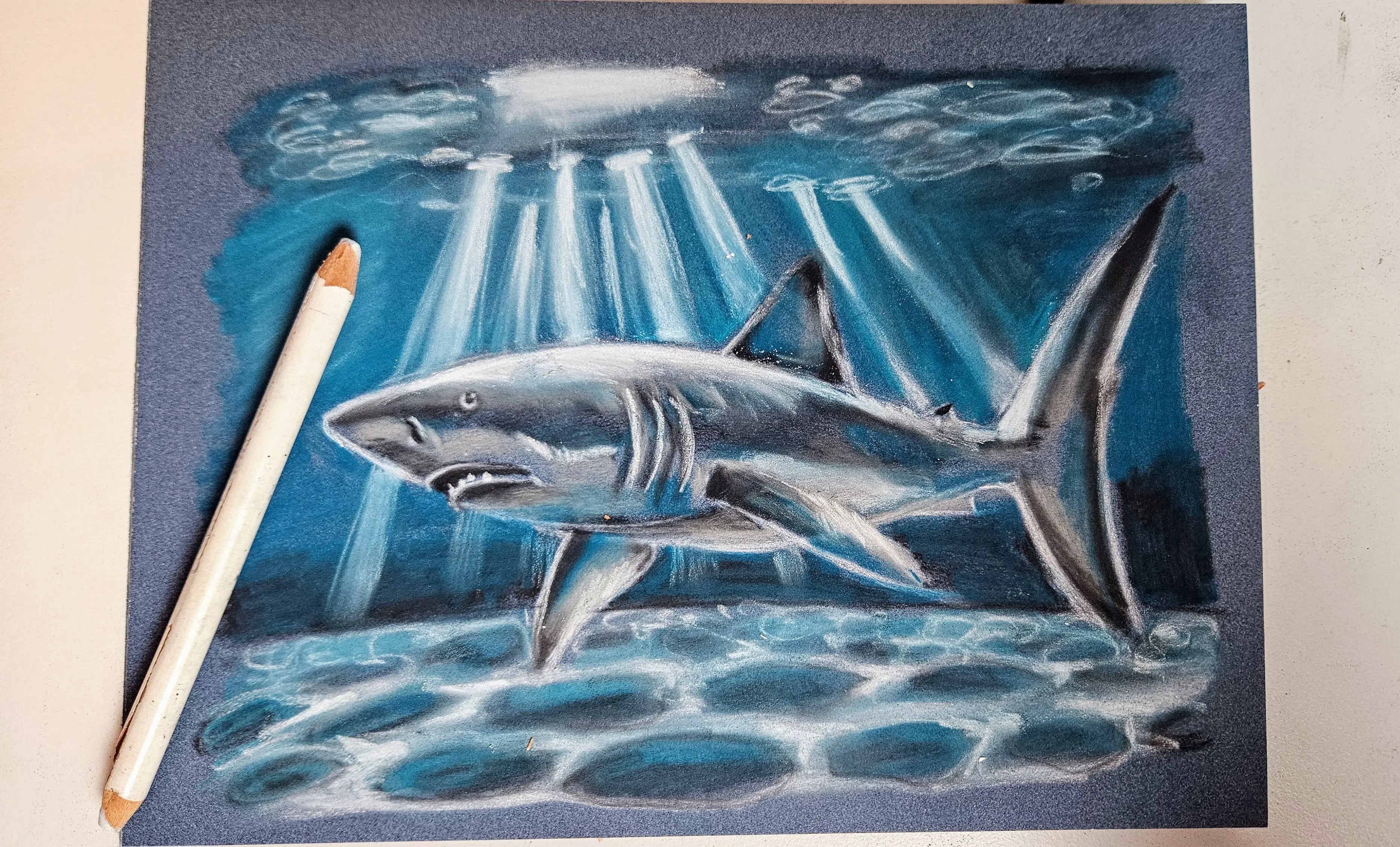 dessiner d’un requin aux pastels