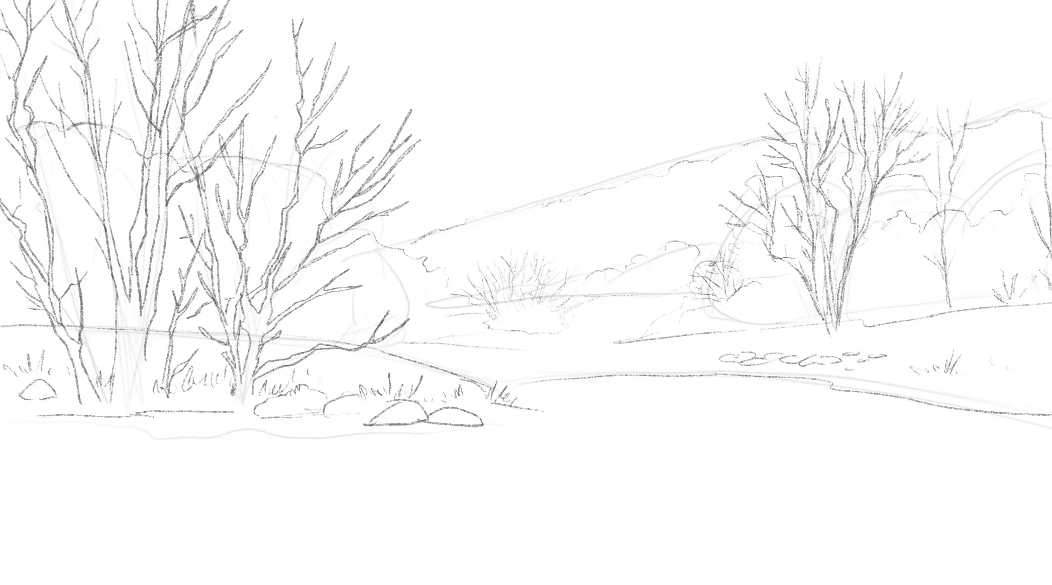 dessiner les arbres d’un paysage d’hiver