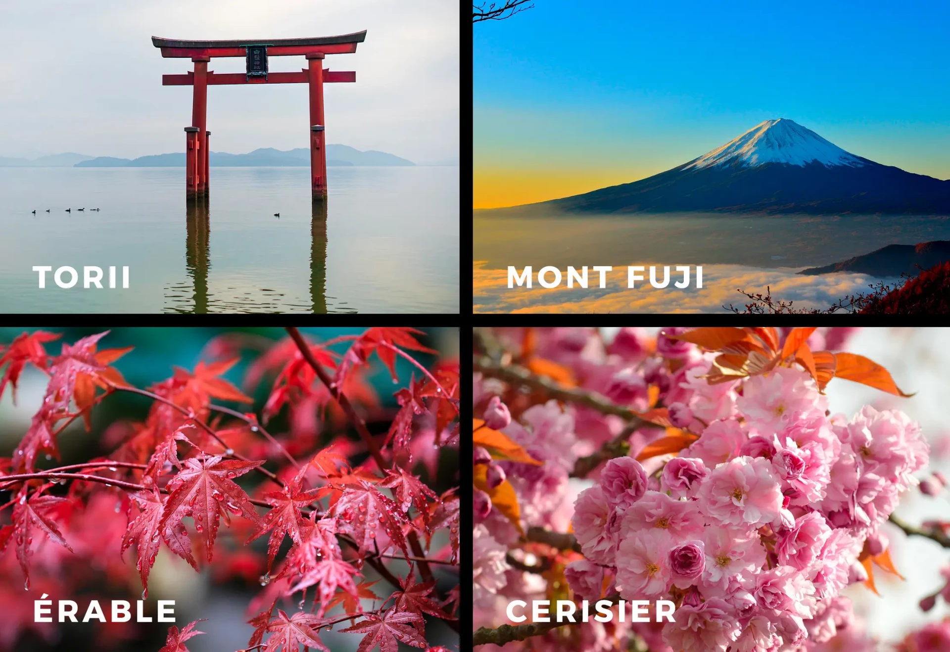 images de paysages japonais