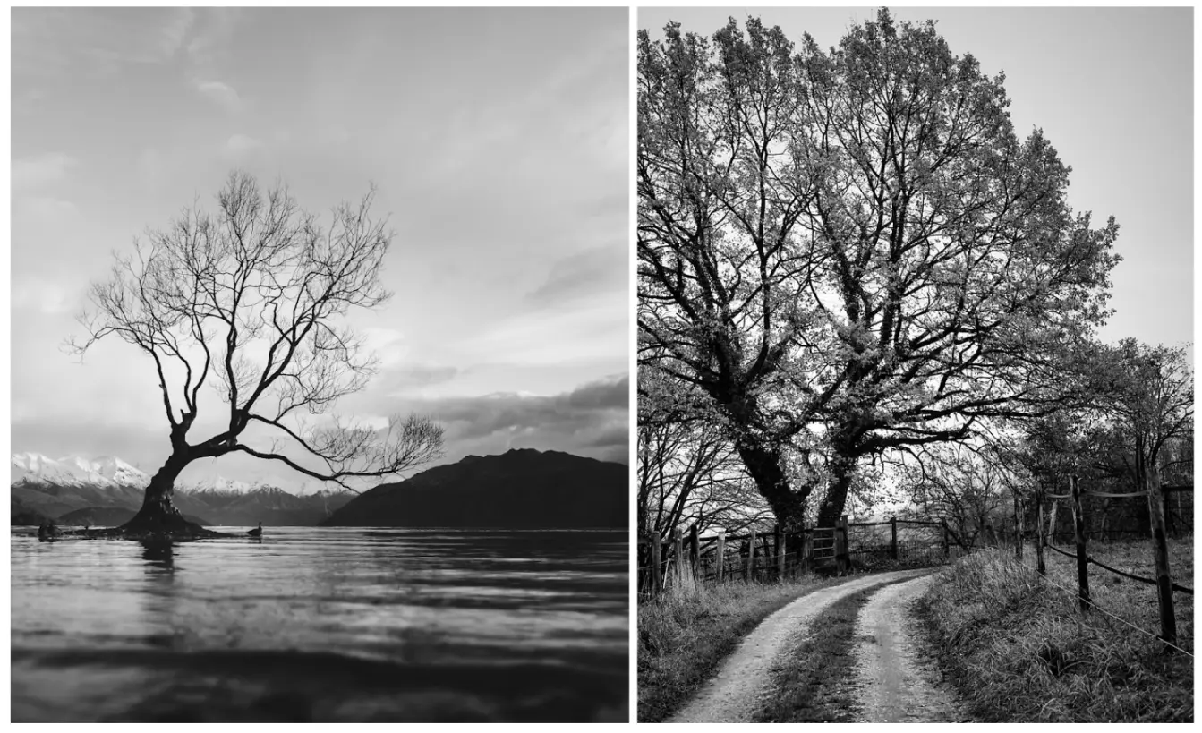 photo d’un paysage en noir et blanc