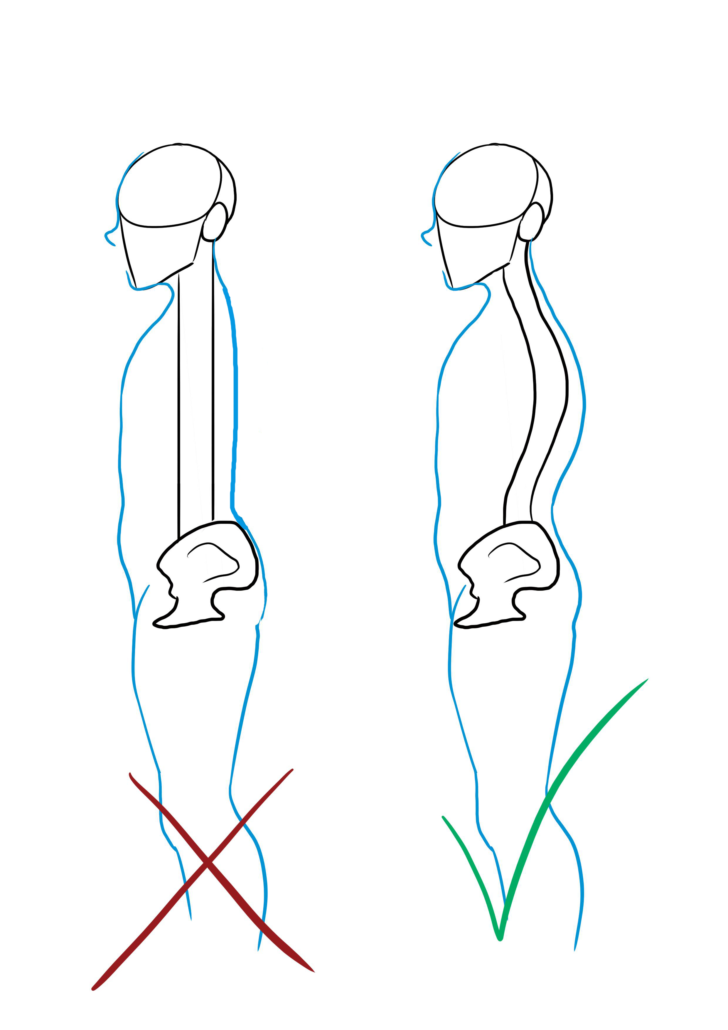 dessin schématique de la colonne vertébrale d’un personnage
