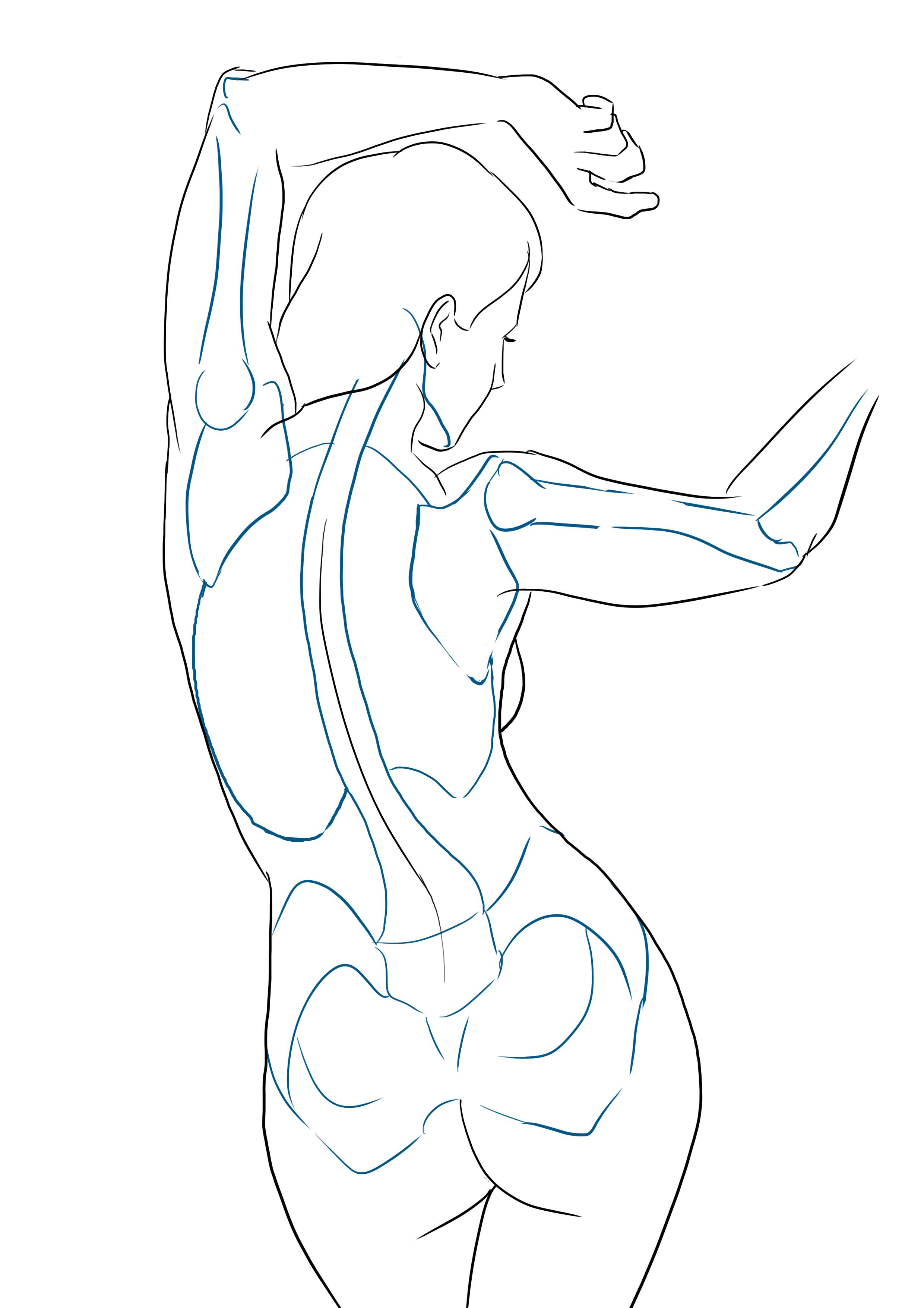 Dessiner le squelette du personnage féminon de dos