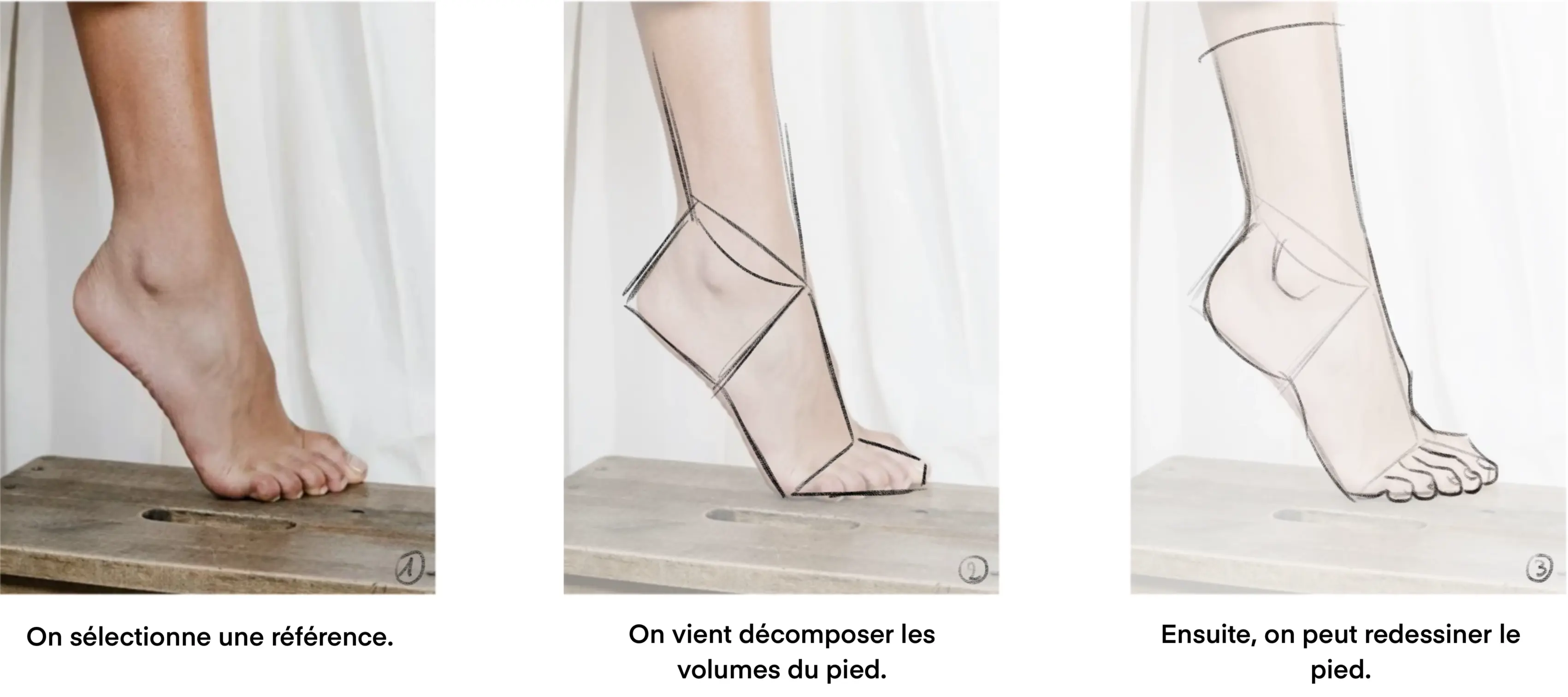 dessiner un pied à partir d’une photo