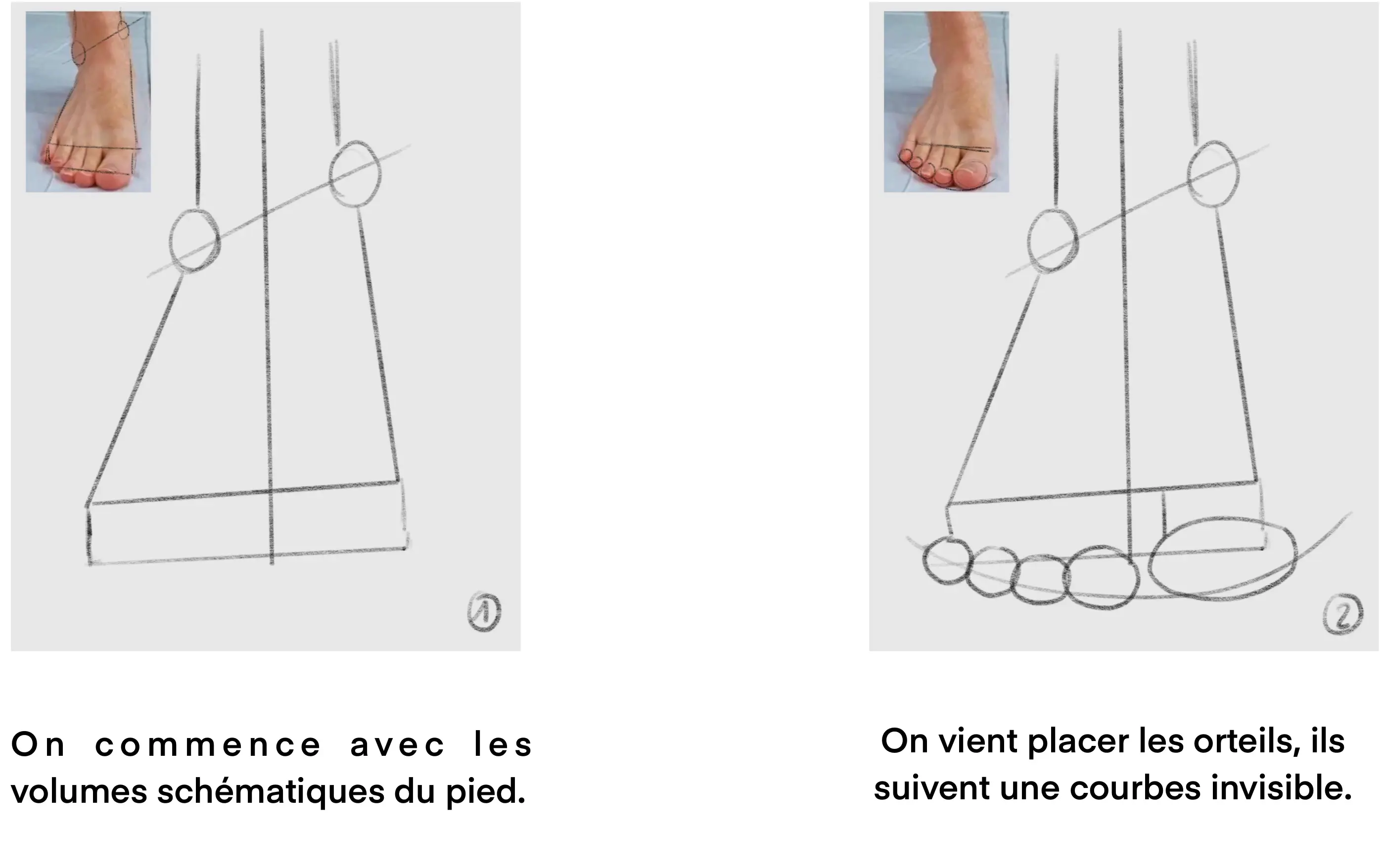 dessiner les volumes d’un pied de face