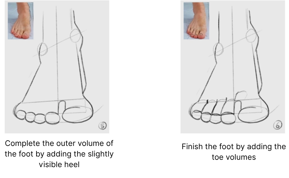 drawing of a foot as seen from the front