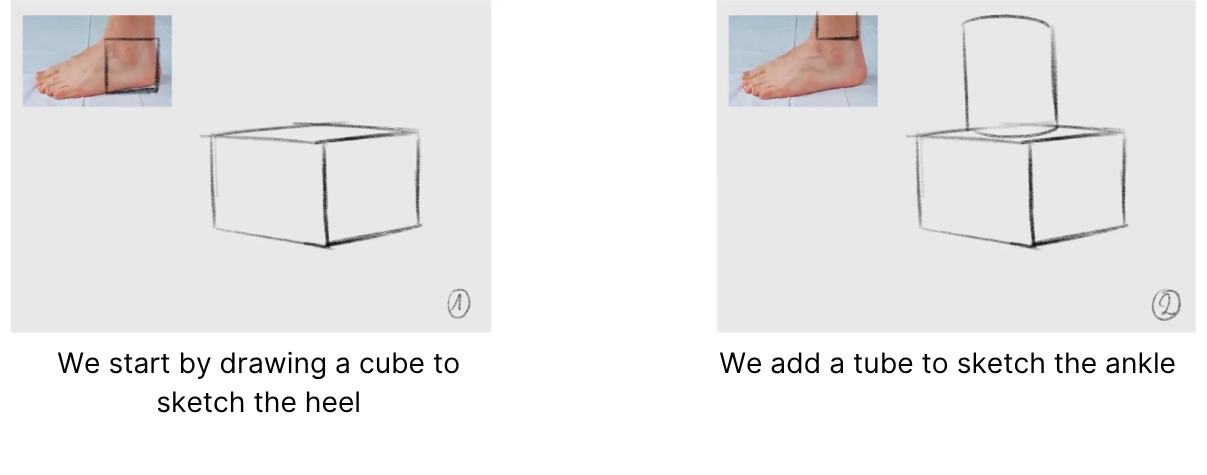 drawing of the base of a foot from a 3/4 angle