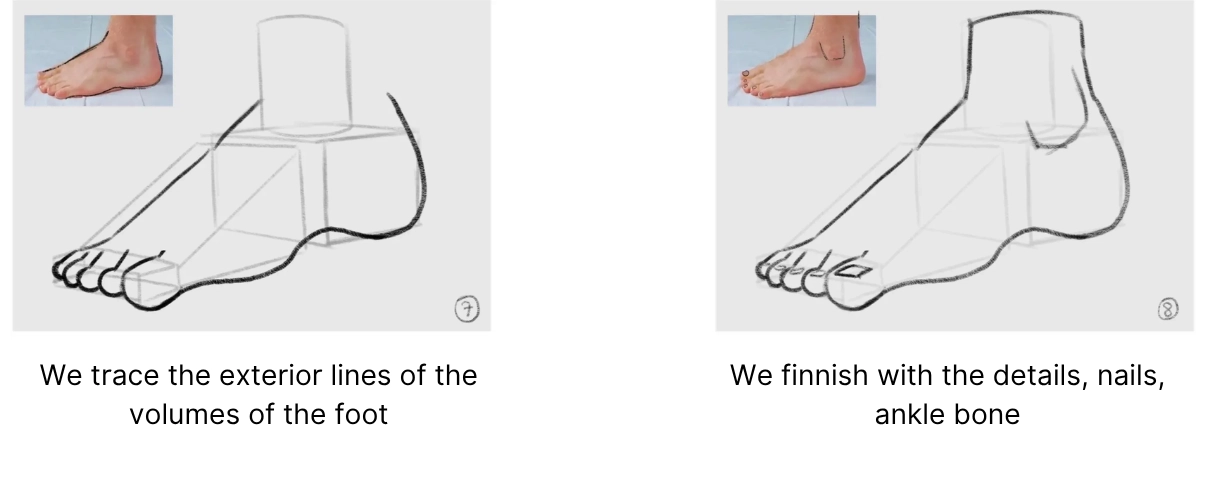 drawing of the toes of a foot from a 3/4 angle