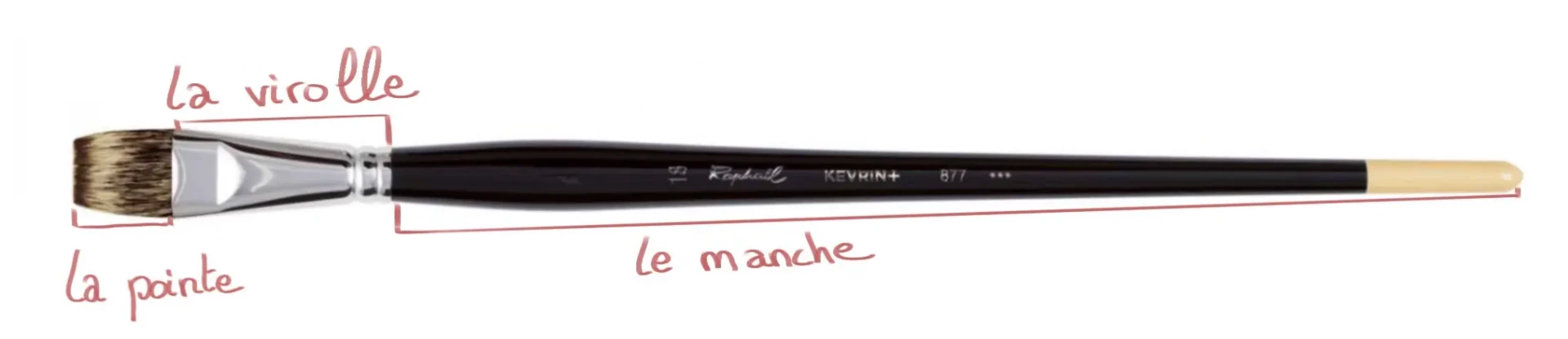 l’anatomie d’un pinceau pour faire de l’aquarelle