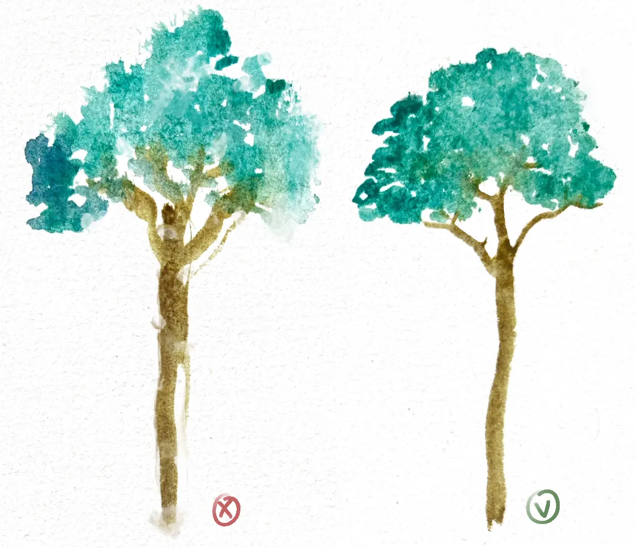 l’importance de la qualité d’un pinceau pour faire de l’aquarelle