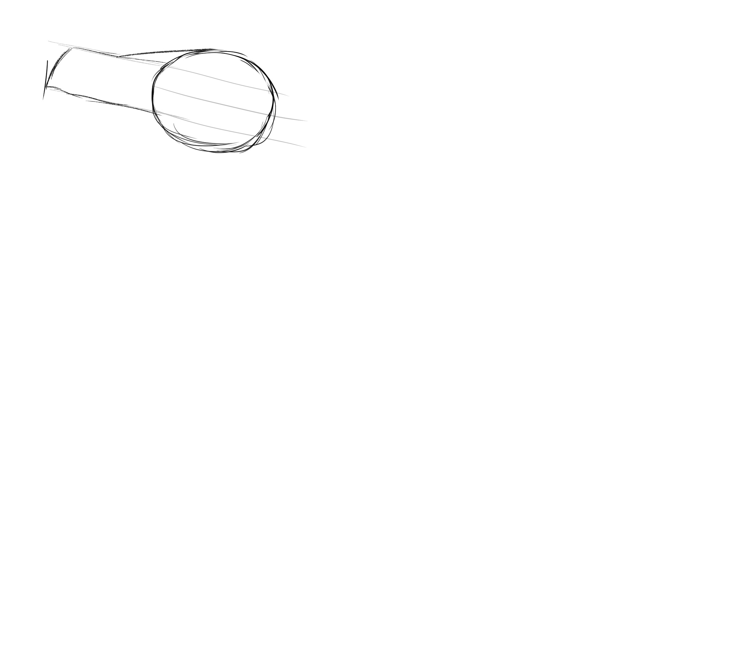 croquis du bec du pingouin 1