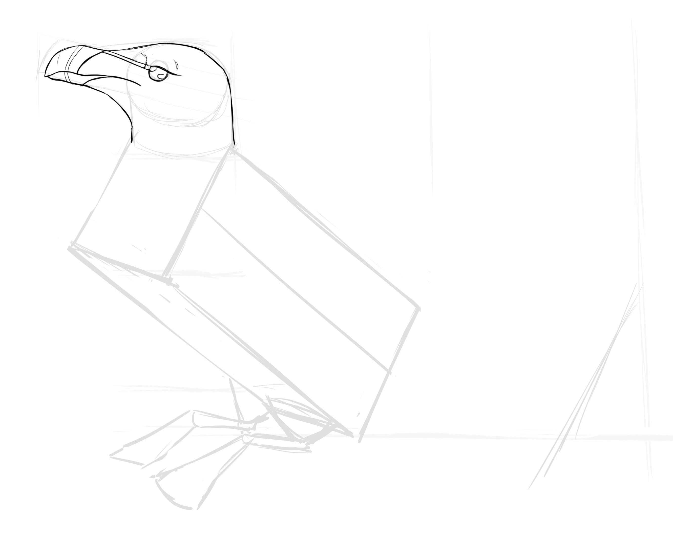 dessiner l’oeil du pingouin