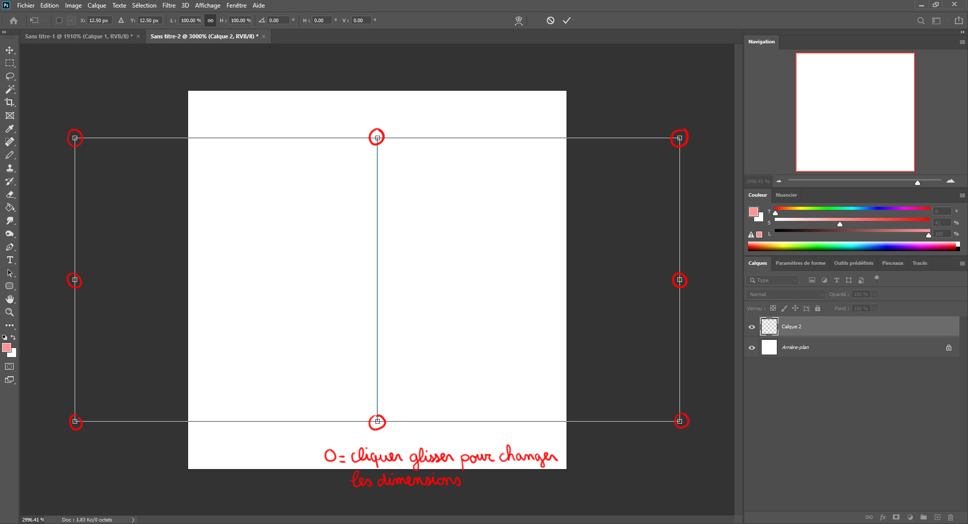 image en pixel art avec la symétrie-1