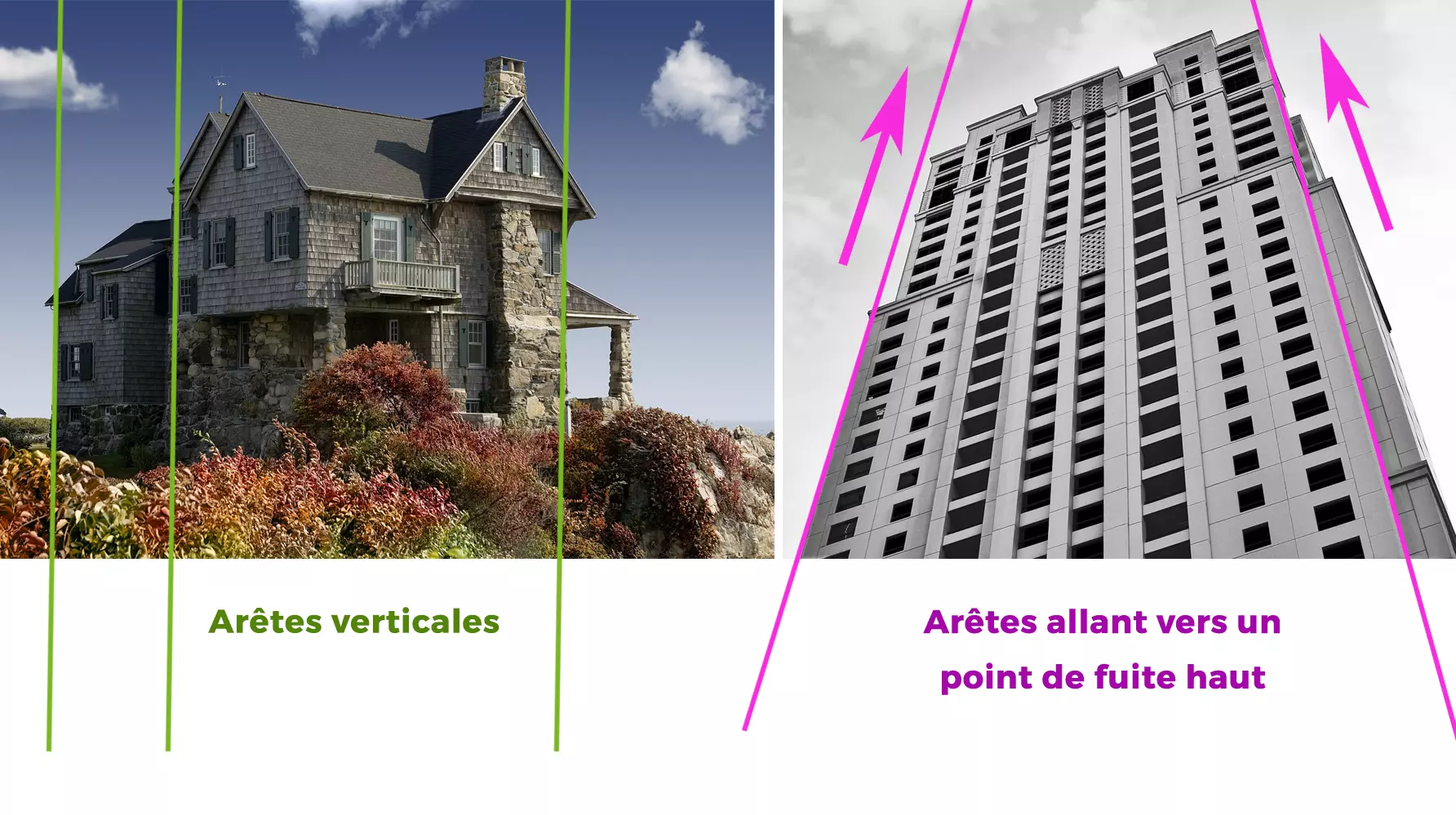 le point de vue d’une maison et d’un immeuble en dessin