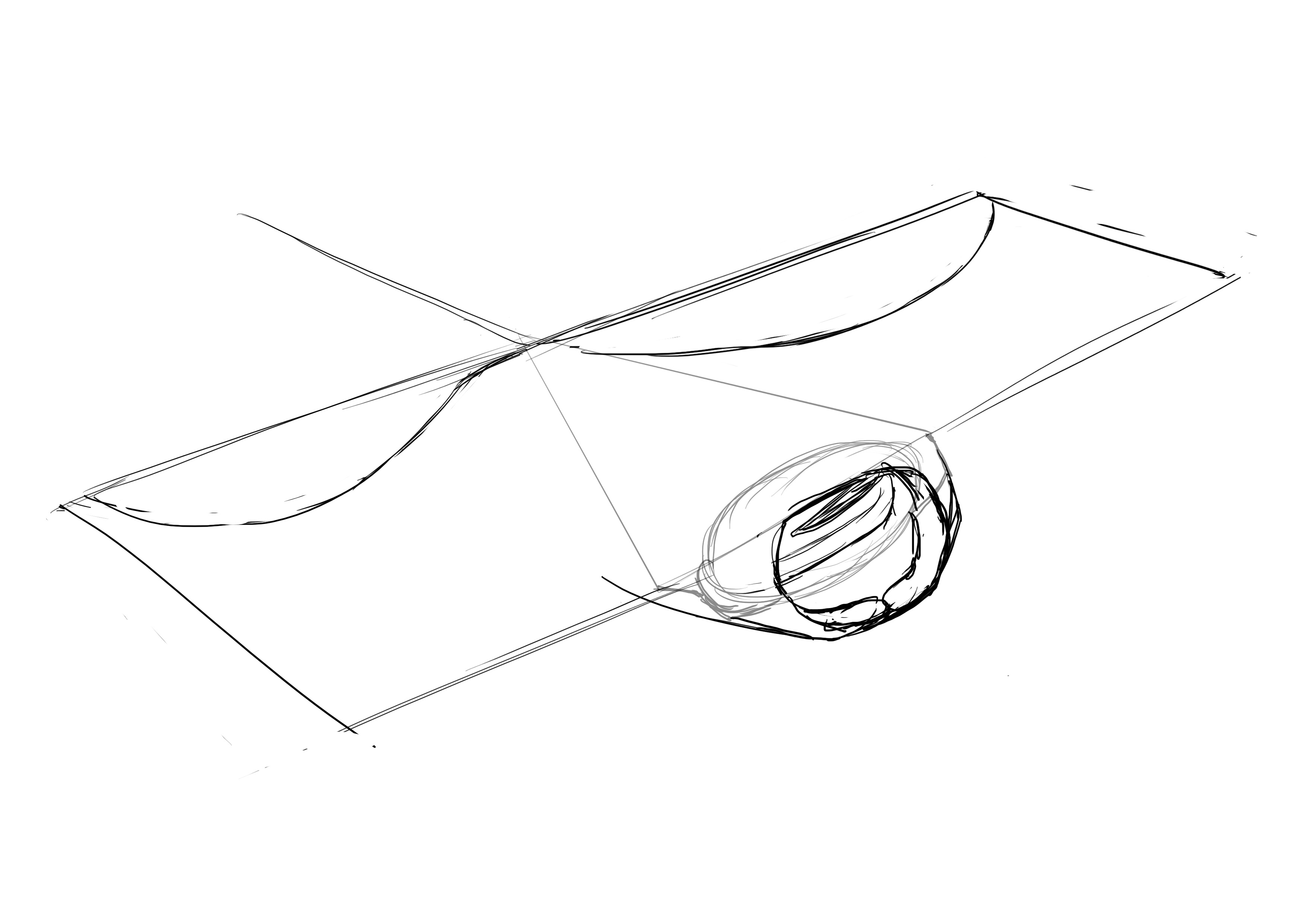 dessiner les ailes de la raie 2