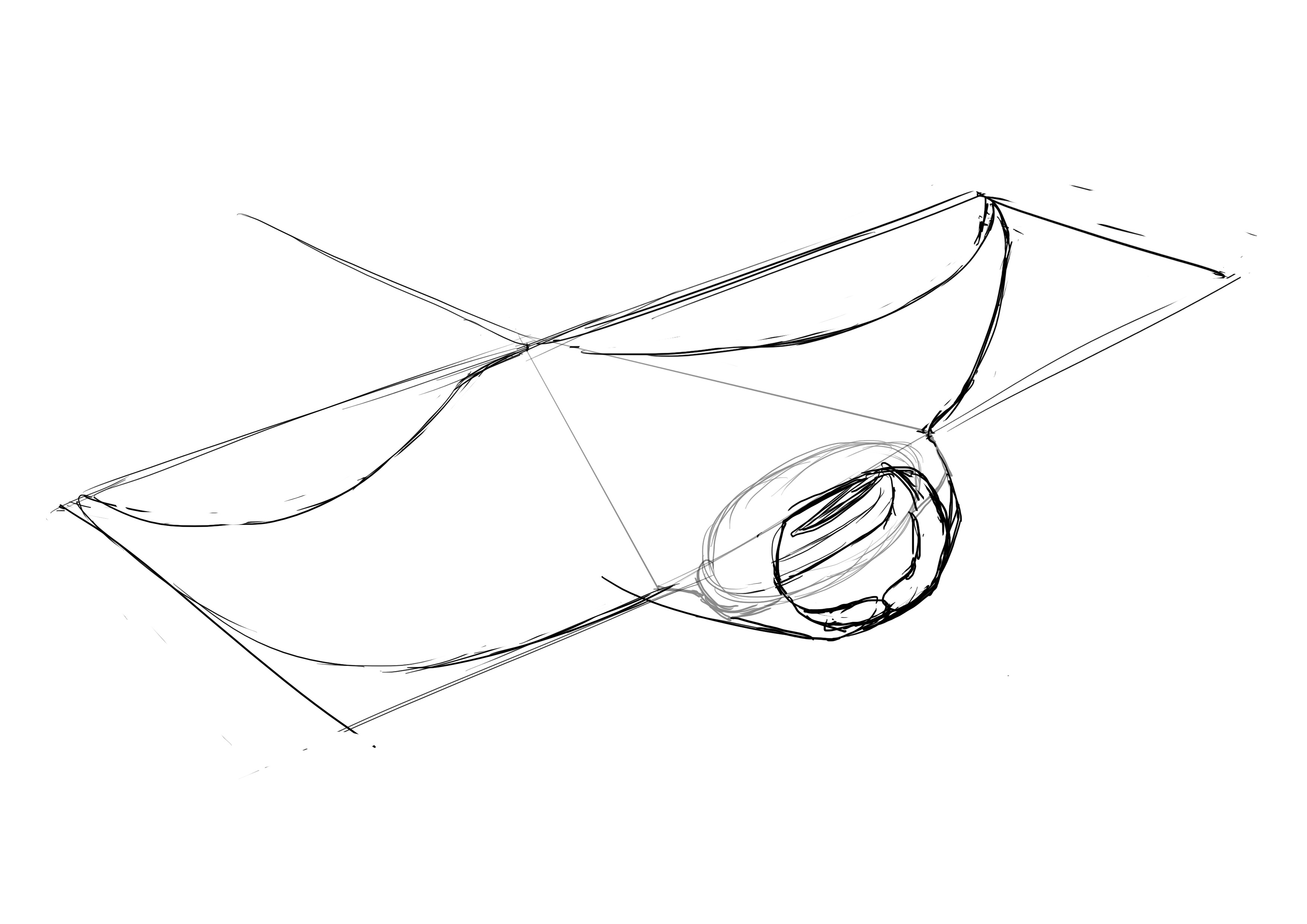 dessiner les ailes de la raie 3