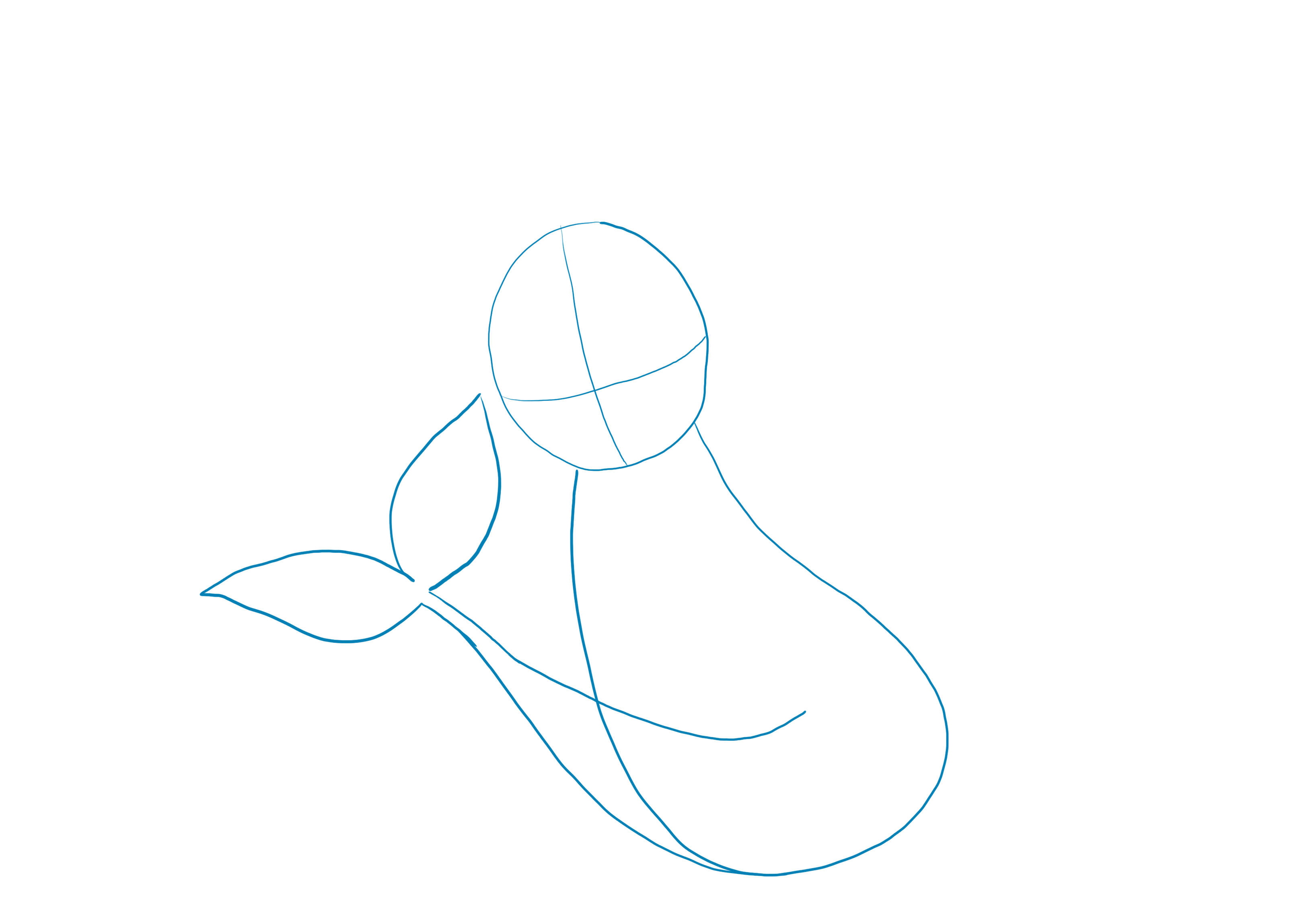 croquis de la queue et des nageoires d’Aquali