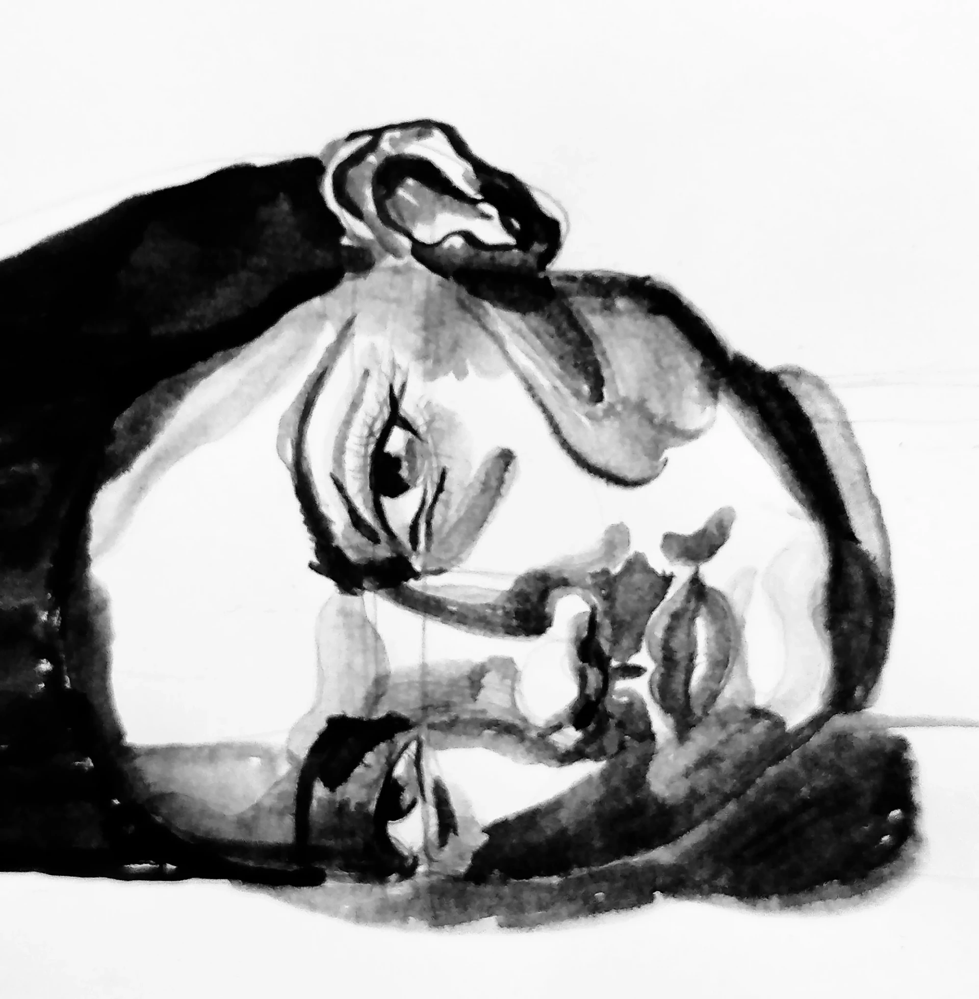 dessiner les cheveux d’un portrait à l’encre de chine