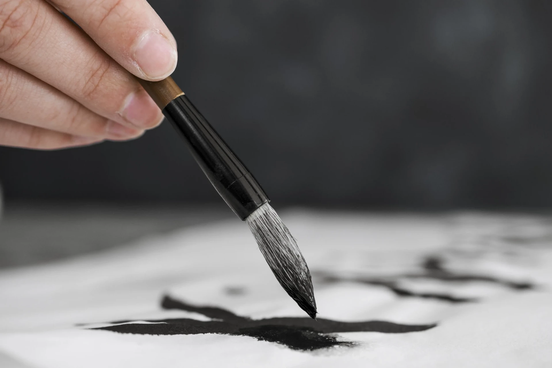 la technique de l’encre de chine
