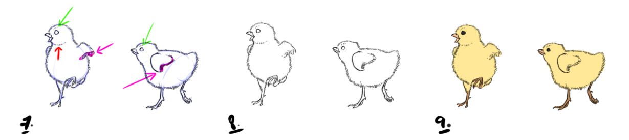 dessiner un poussin étape par étape 3