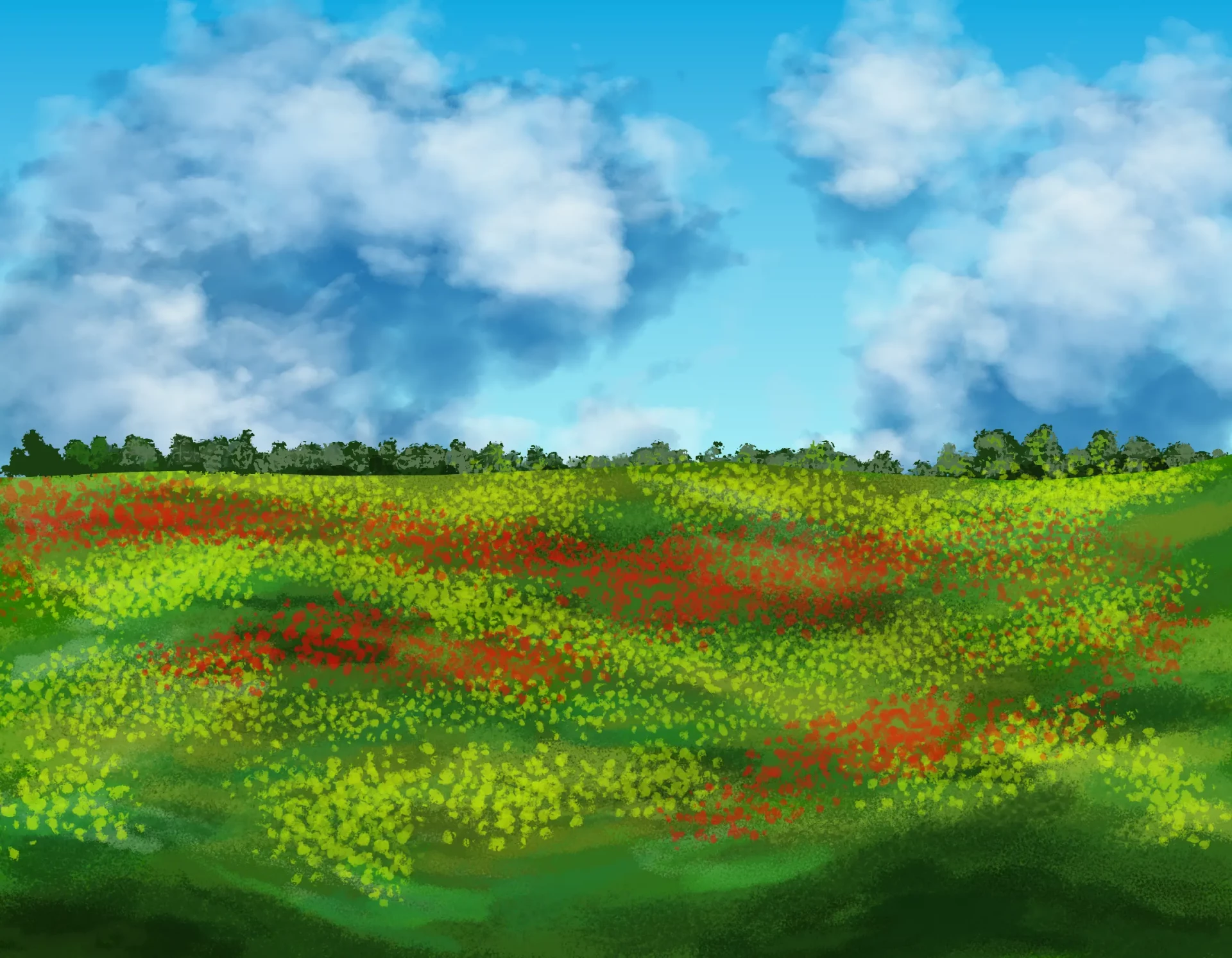 dessiner les fleurs d’une prairie
