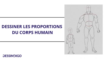 Dessiner les proportions du corps humain