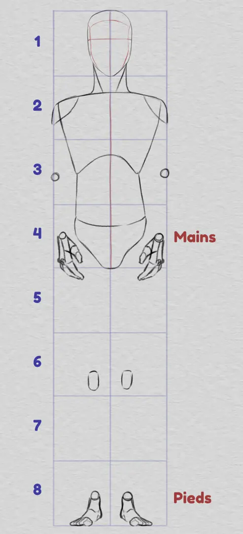 dessiner les proportions des mains et des pieds