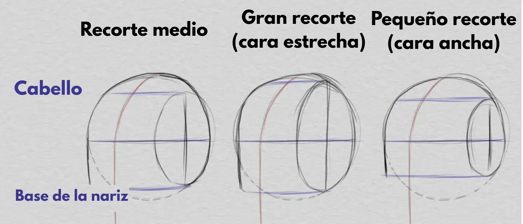 dibujar el cabello y las proporciones del rostro