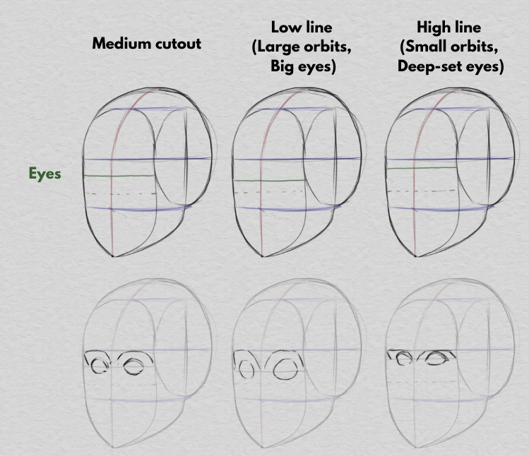 drawing the eye line and the proportions of the face