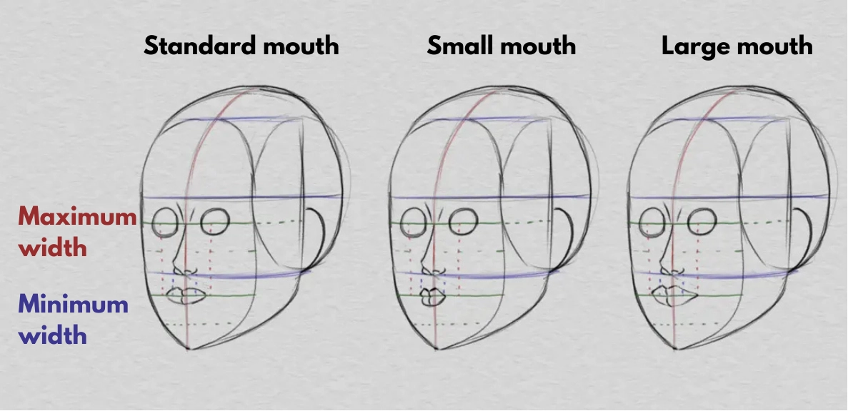 drawing the mouth and the proportions of the face