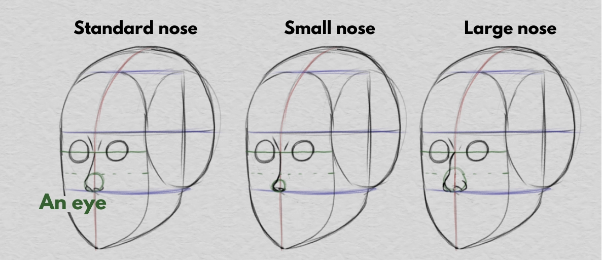 drawing the nose and the proportions of the face