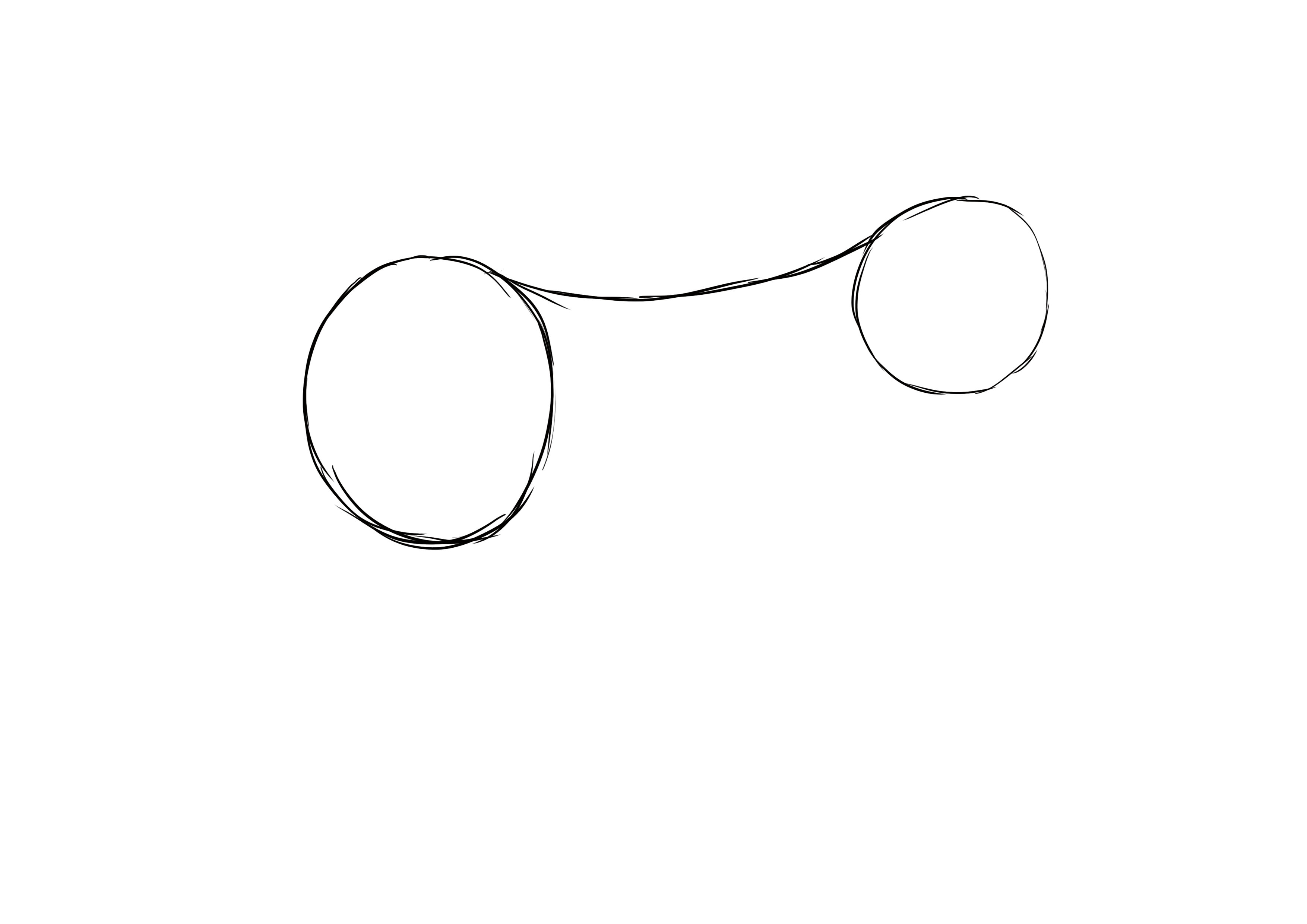 Croquis de la tête et du postérieur du renard