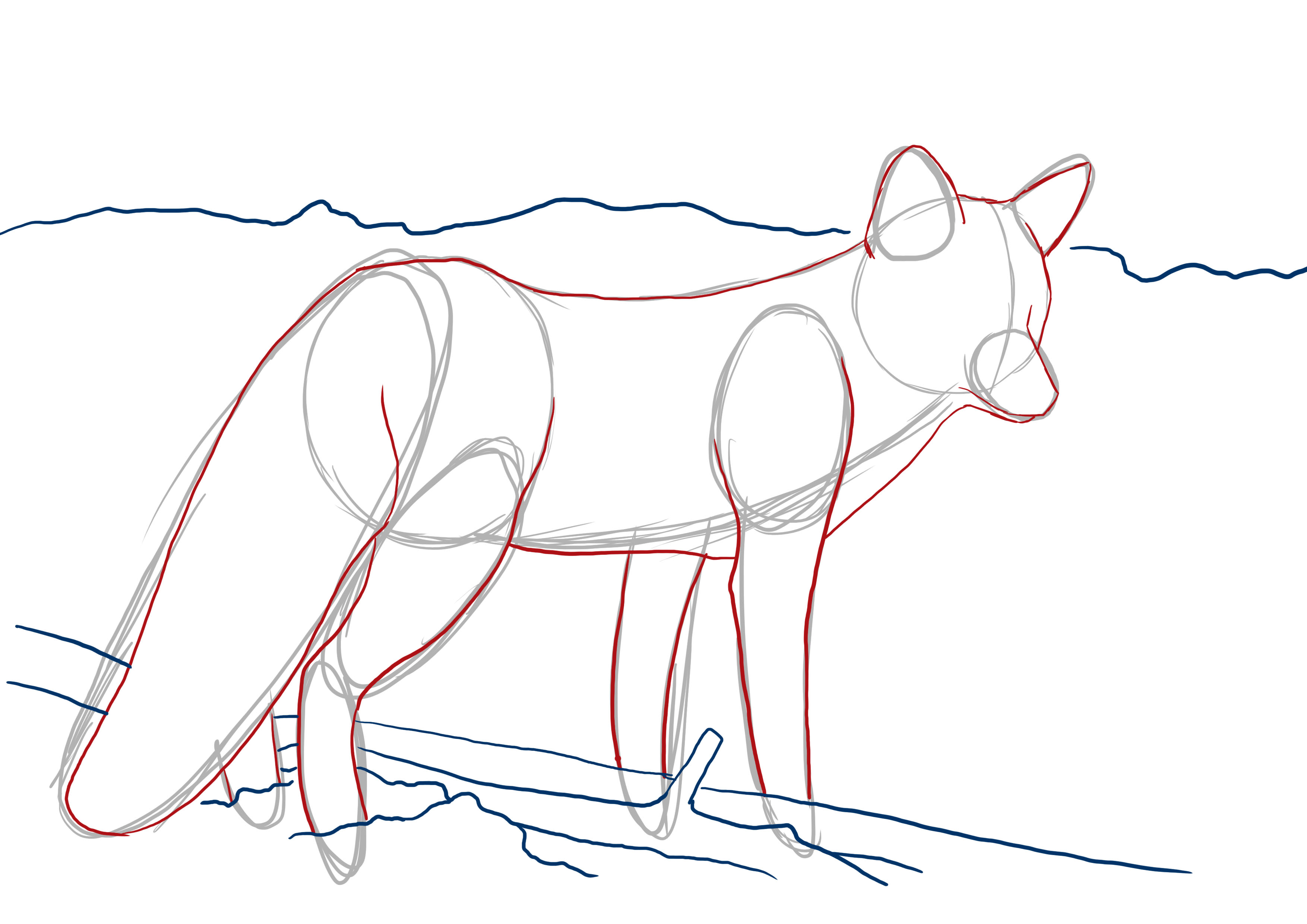 dessiner le décor autour du renard