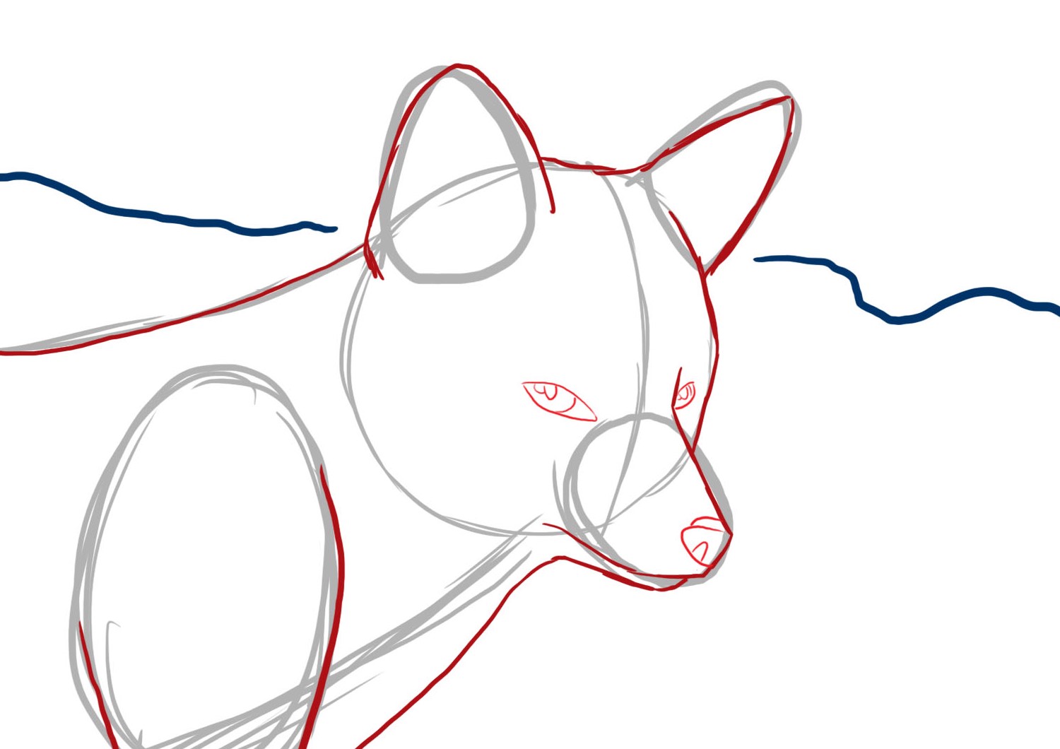 dessiner les détails de la tête du renard