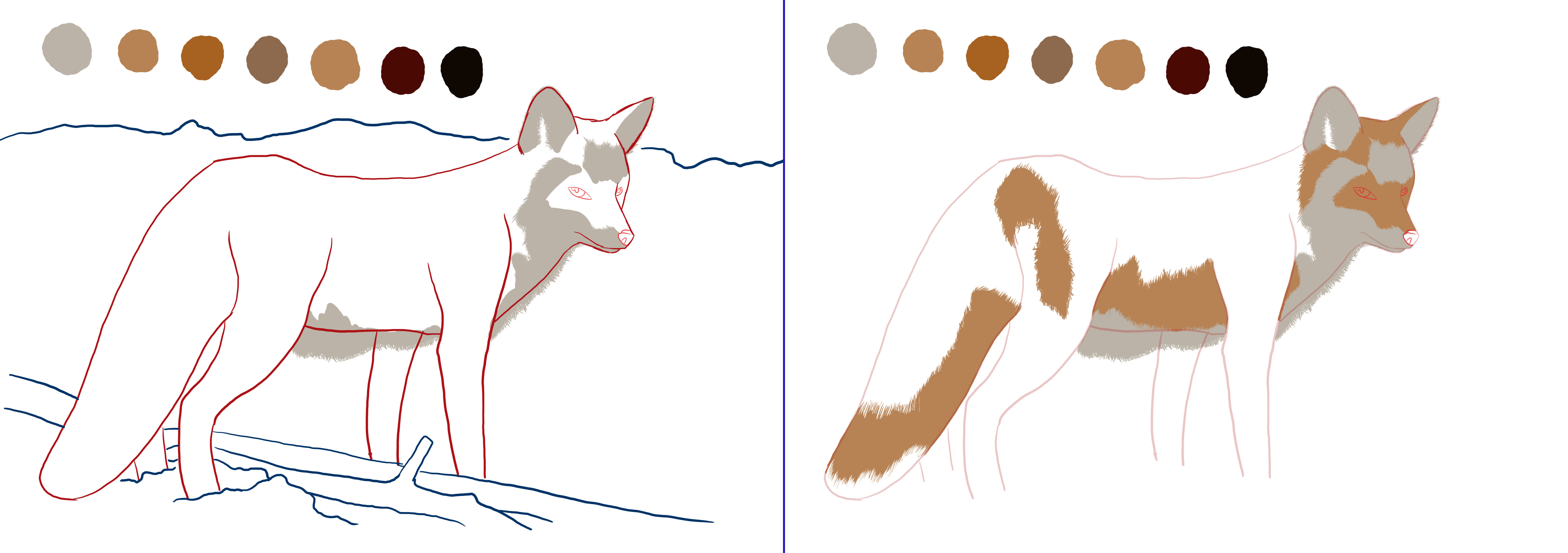 appliquer la couleur au dessin de renard 1