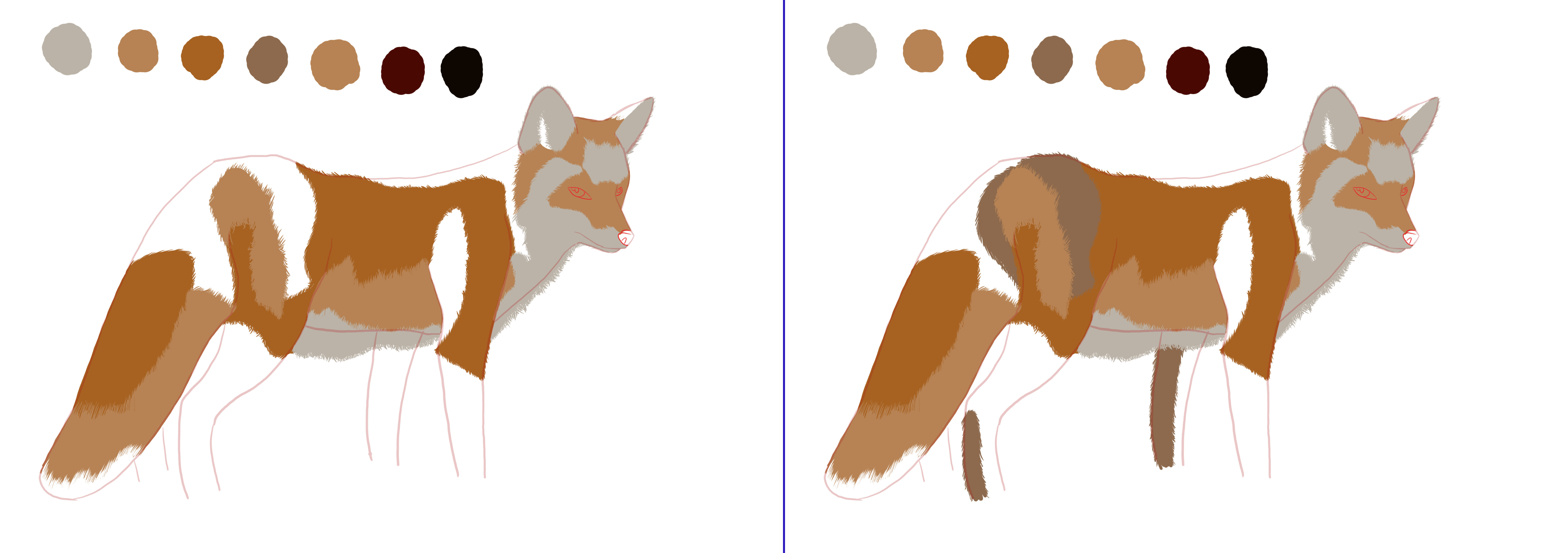appliquer la couleur au dessin de renard 2