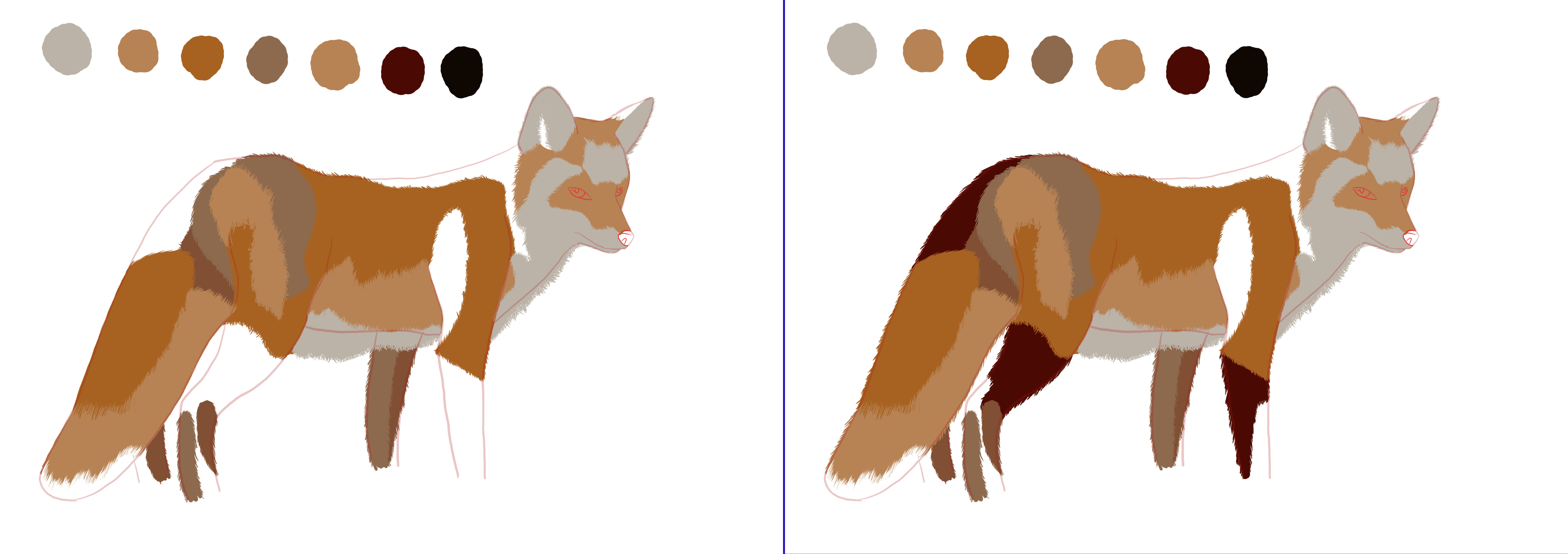 appliquer la couleur au dessin de renard 3