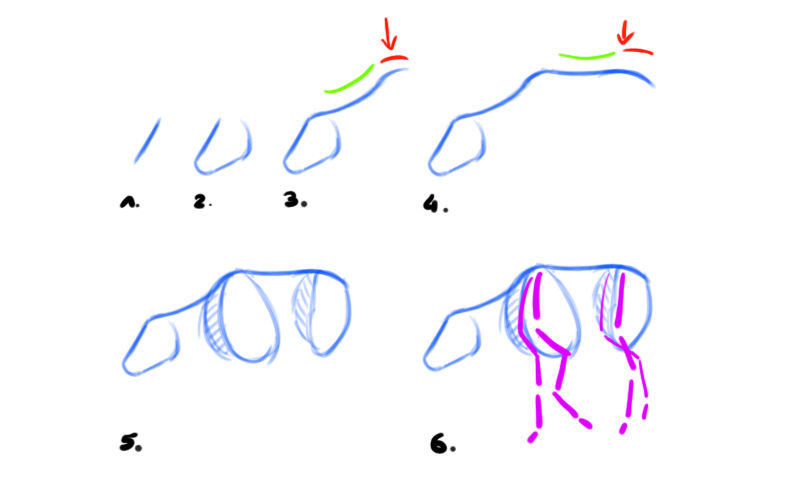 dessiner un renne étape par étape 1
