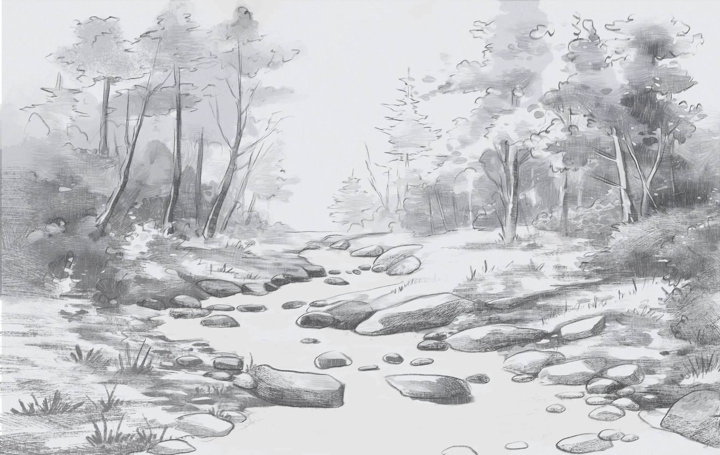 dessiner les arbres aux abords d’une rivière