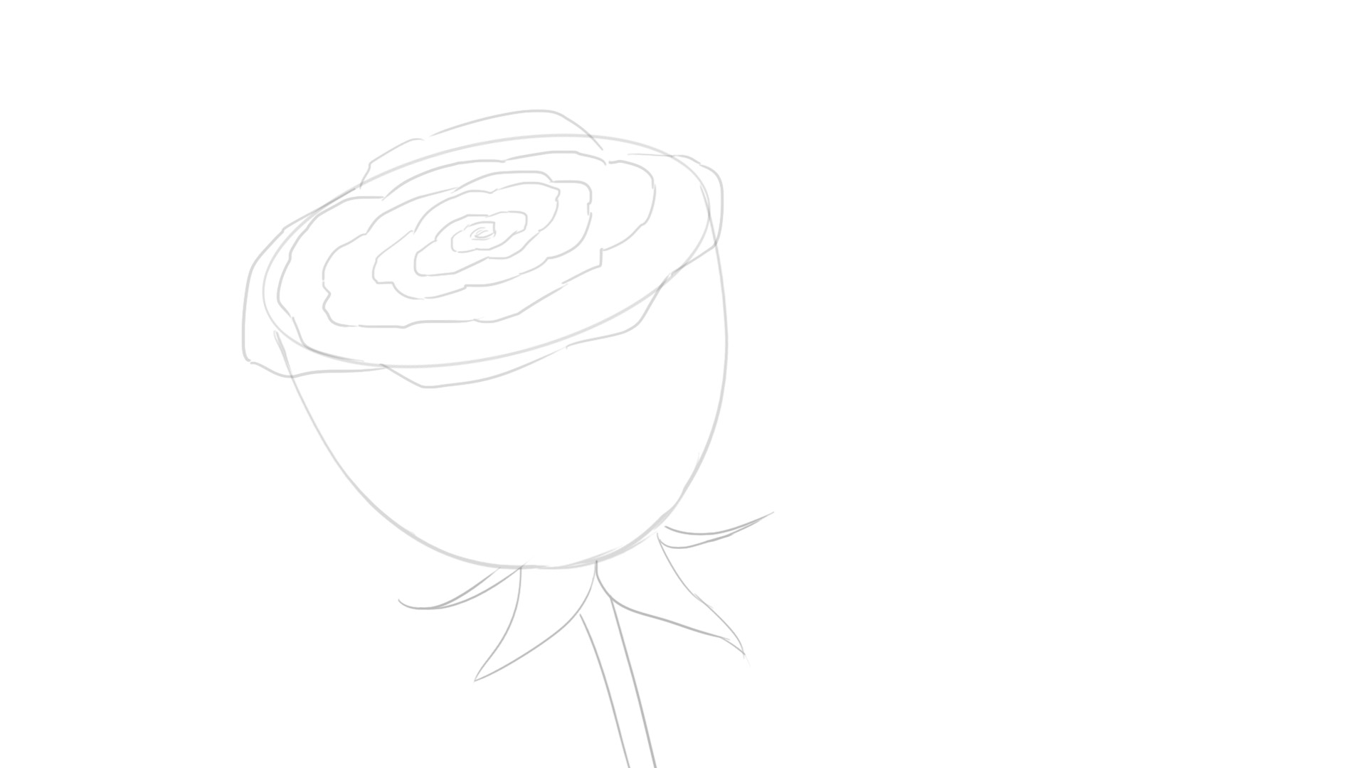 Dessin de la rose, étape 6