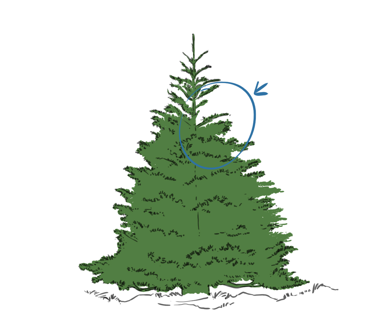 corriger les imperfections du dessin 1