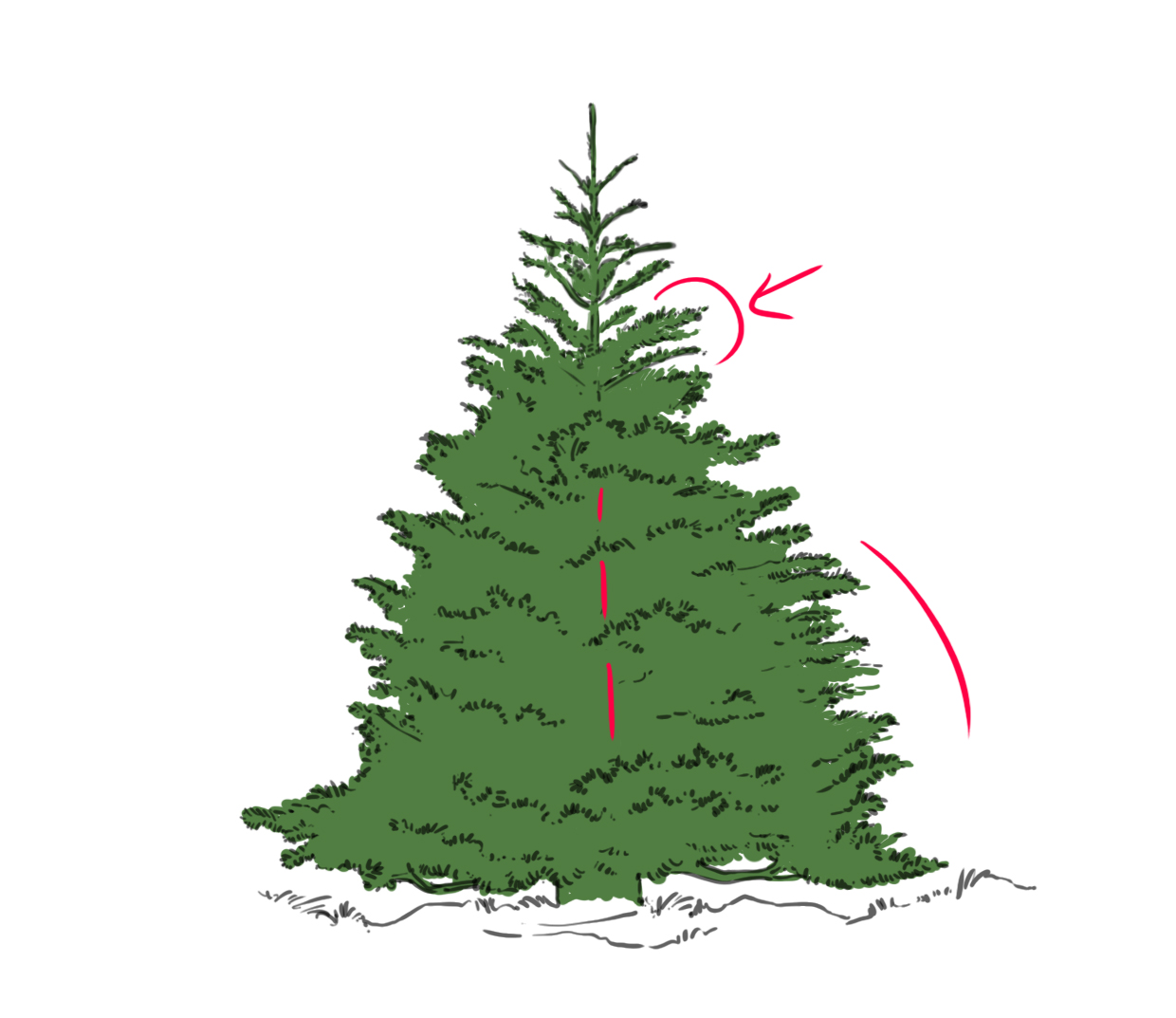 corriger les imperfections du dessin 2