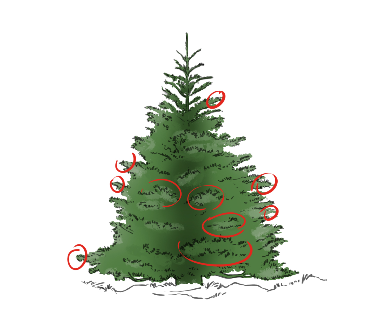 éclaircir la couleur des épines sur les extrémités du dessin