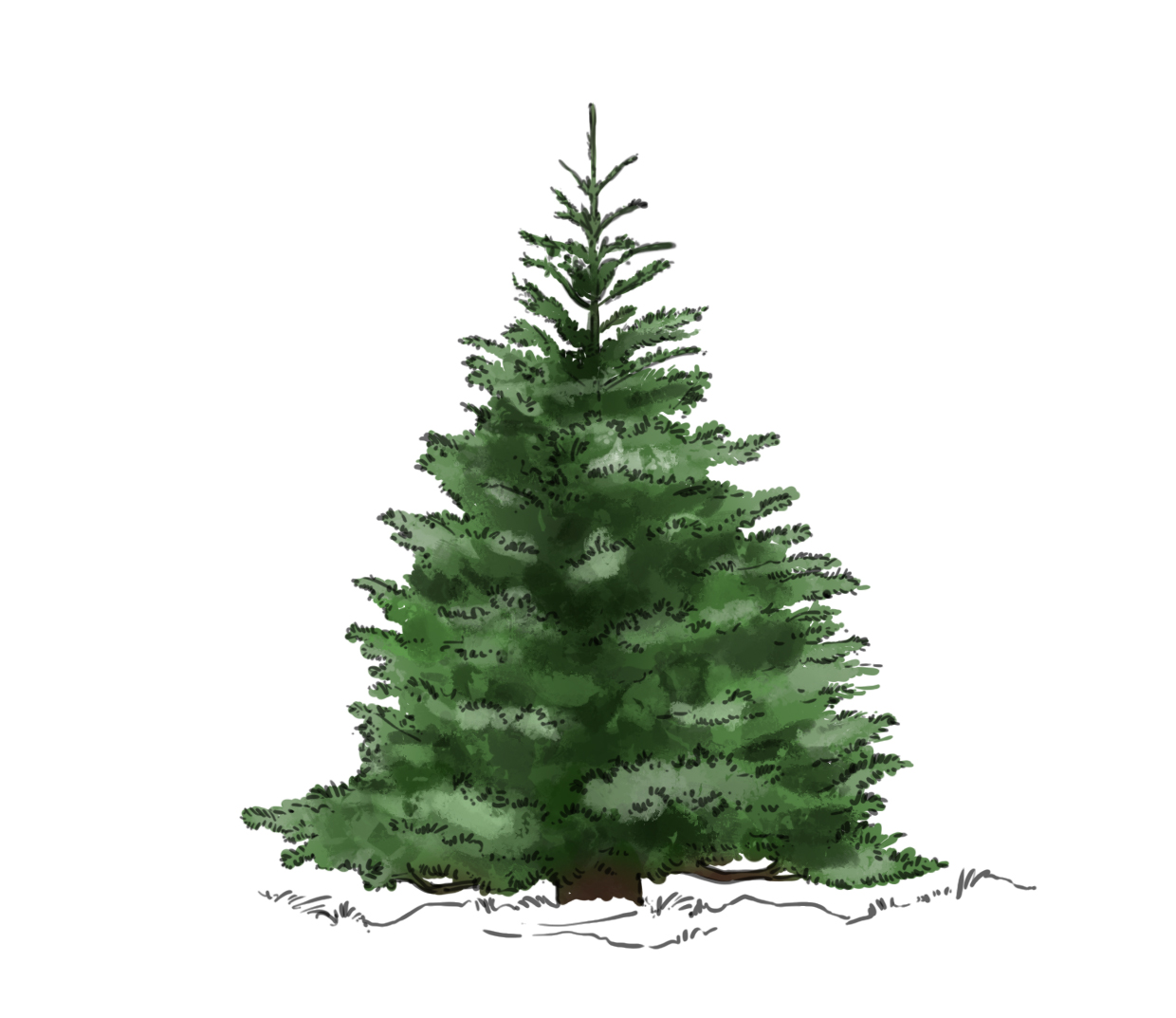 appliquer une couleur marron pour le tronc