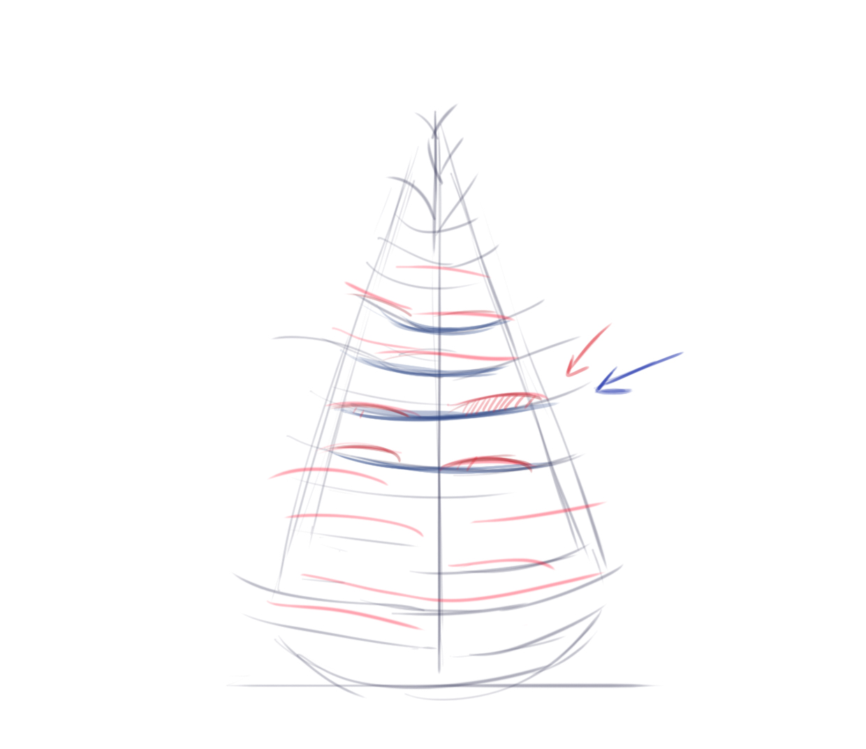 dessiner le croquis des branches du sapin 1