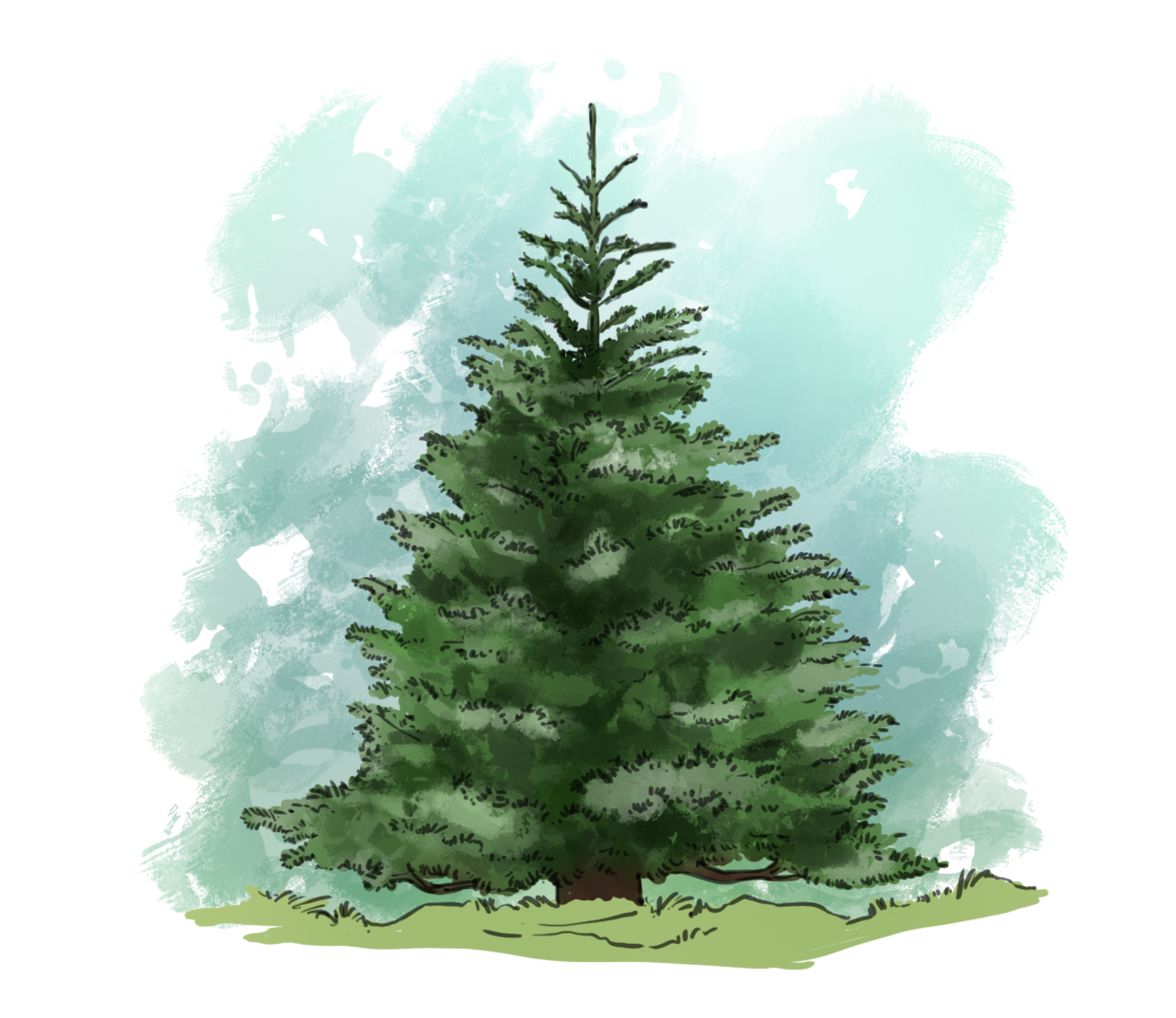 dessiner le décor du dessin autour du sapin