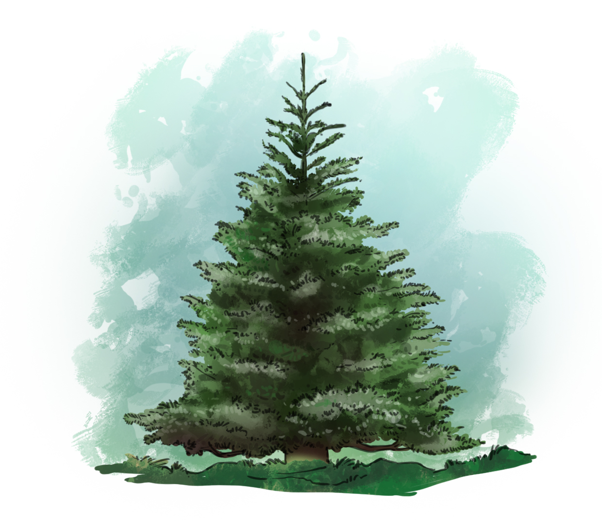 placer les ombres sur le dessin de sapin