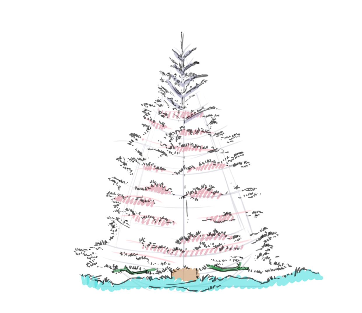 dessiner le sol et le tronc du sapin